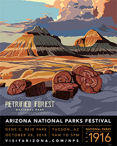 Petrified Forest National Park