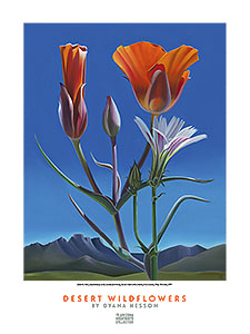 Dyana Hesson Poster: <em>After the Rain</em>