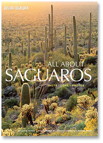 All About Saguaros Arizona Highways Store