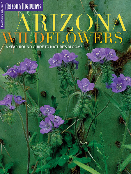 Arizona Wildflowers: A Year-Round Guide To Nature's Blooms