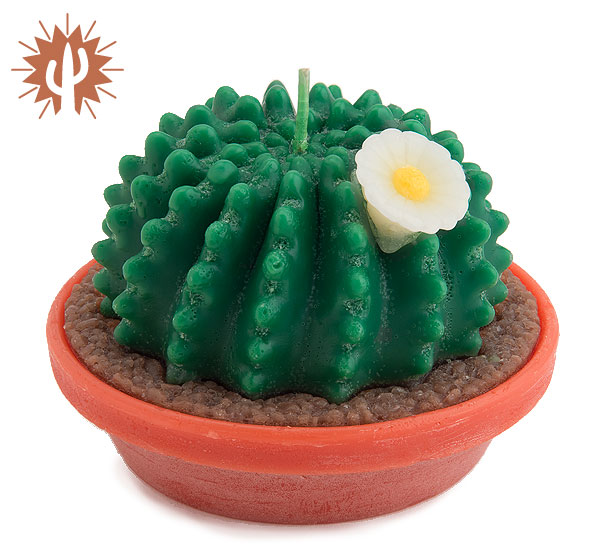 Barrel Cactus Candle