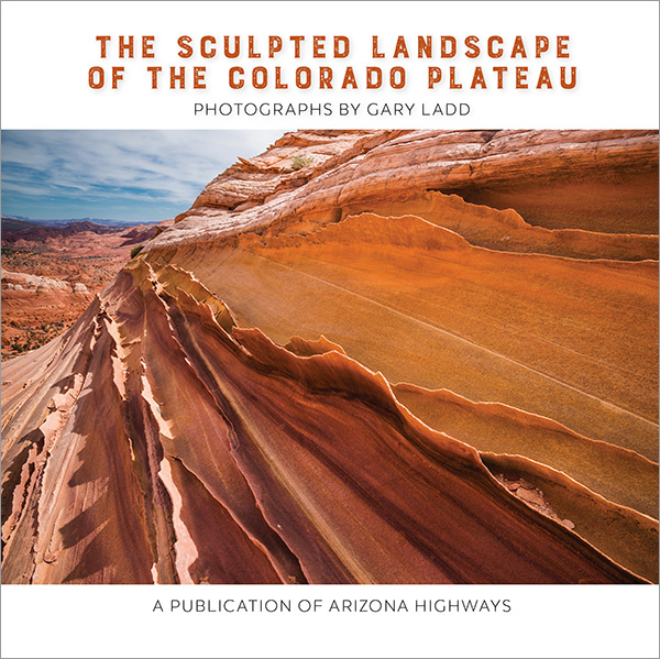 The Sculpted Landscape of the Colorado Plateau