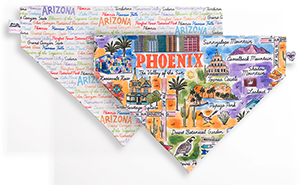Large: Arizona