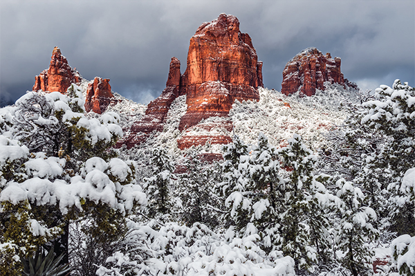 Cibola Mitten Holiday Card