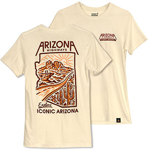 Flagstaff Arizona Desert Illustration Vintage Souvenir T-shirt