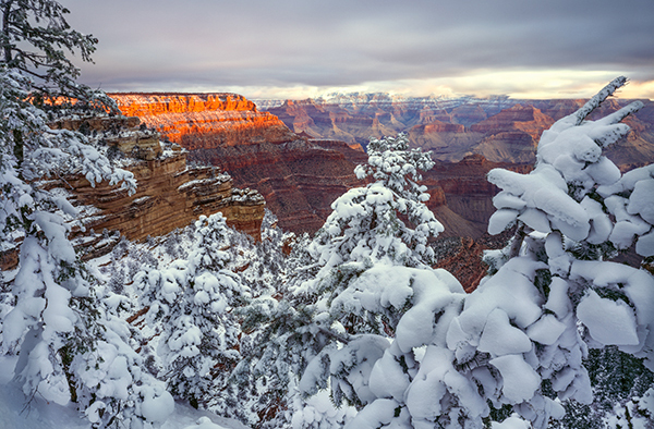 Grand Canyon Holiday Cards