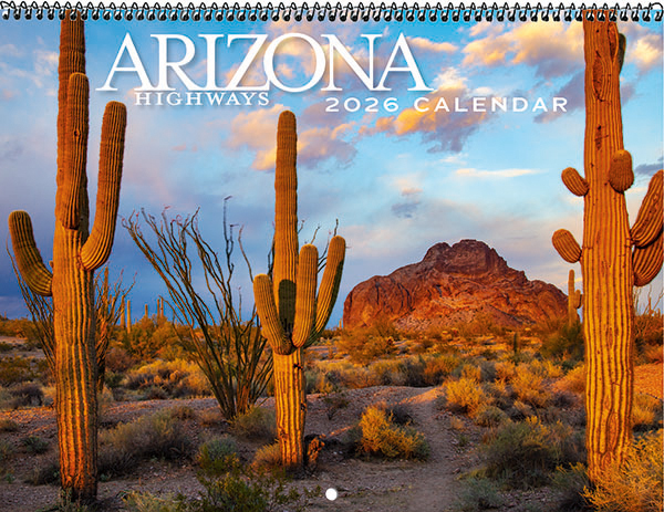 2026 Classic Wall Calendar