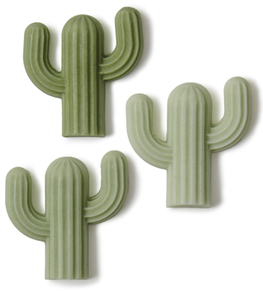 Saguaro Soap Set