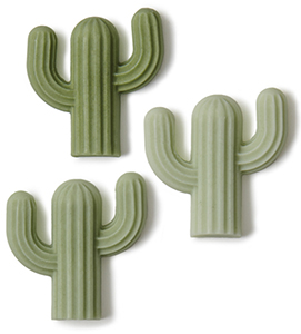 Saguaro Soap Set