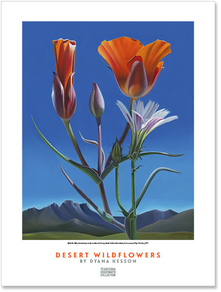 Dyana Hesson Poster: After the Rain