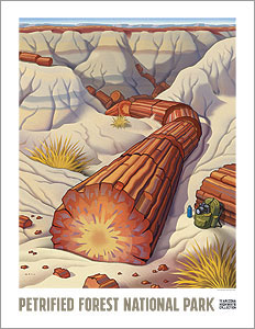 February, Petrified Forest National Park 