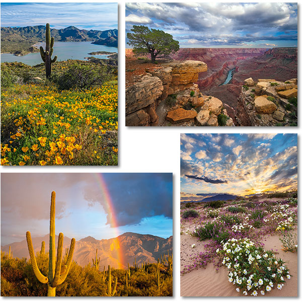 Scenic Notecards   
