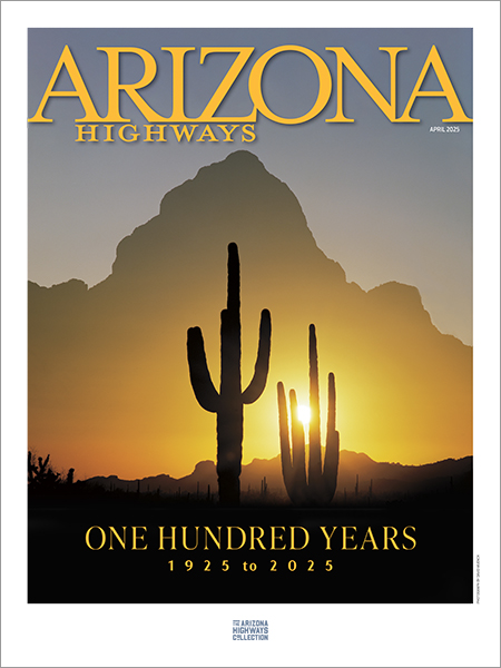 Centennial Poster (April 2025 Cover)