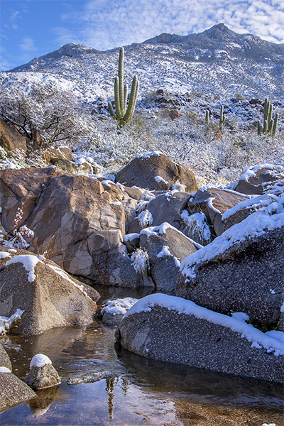 Santa Catalina Mountains Holiday Cards
