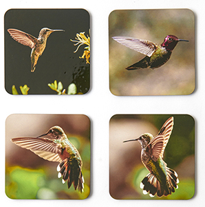 Hummingbird Coasters