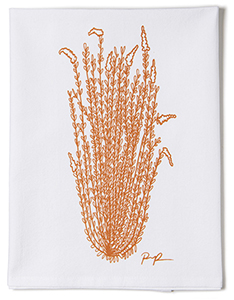 Ocotillo Rising Tea Towel