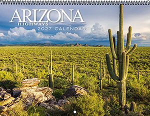 2027 Classic Wall Calendar 