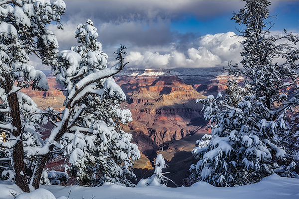 Winter Canyon Holiday Cards
