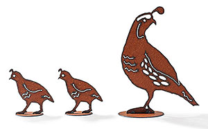 Desert Quail Trio