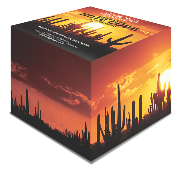 Saguaro Sunset Note Cube